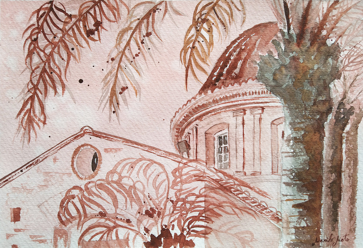 Acuarela de la cúpula de una iglesia en un pueblo de Valencia, con las palmeras del jardín agitadas por el viento de poniente. Colores sepia y marrón rojizo.