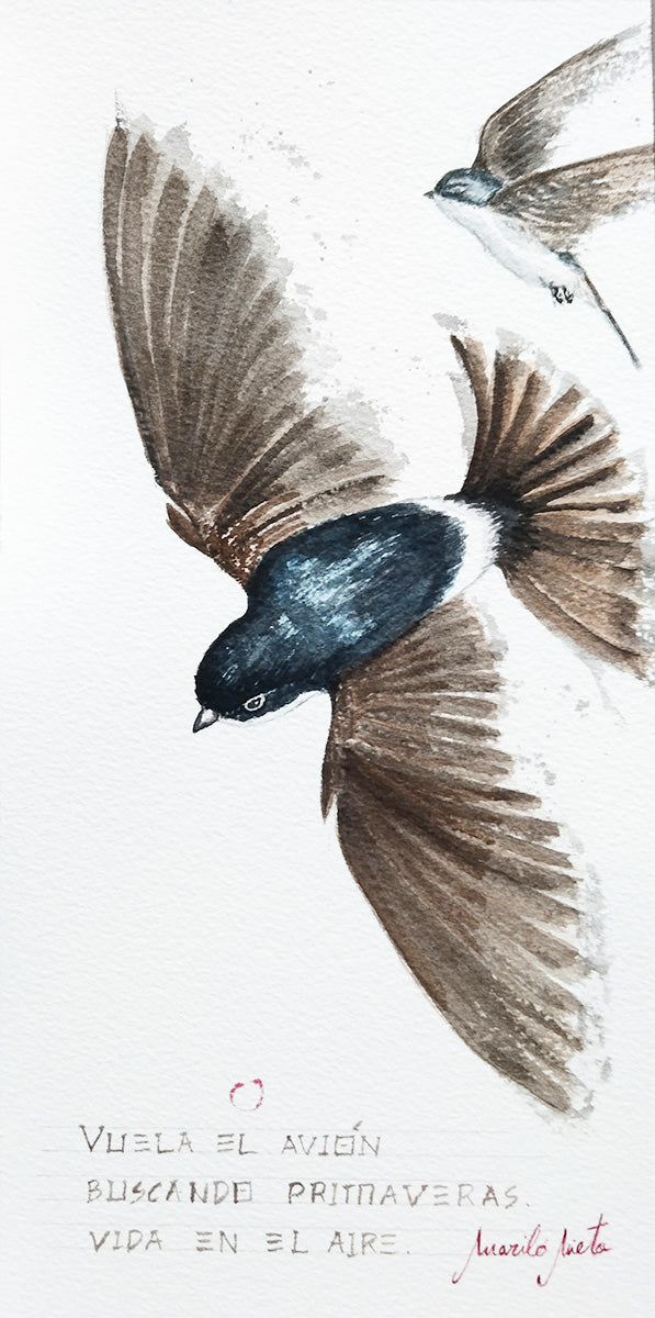 Ilustración en acuarela de dos aves tipo avión en vuelo, una vista desde arriba en primer plano, como homenaje poético a un ave herida en un día de tormenta.