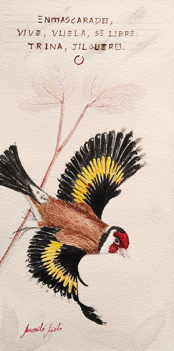 Acuarela de un jilguero alzando el vuelo desde una rama, con las alas abiertas. Imagen que evoca libertad y canto. Parte de un haiga contemporáneo.