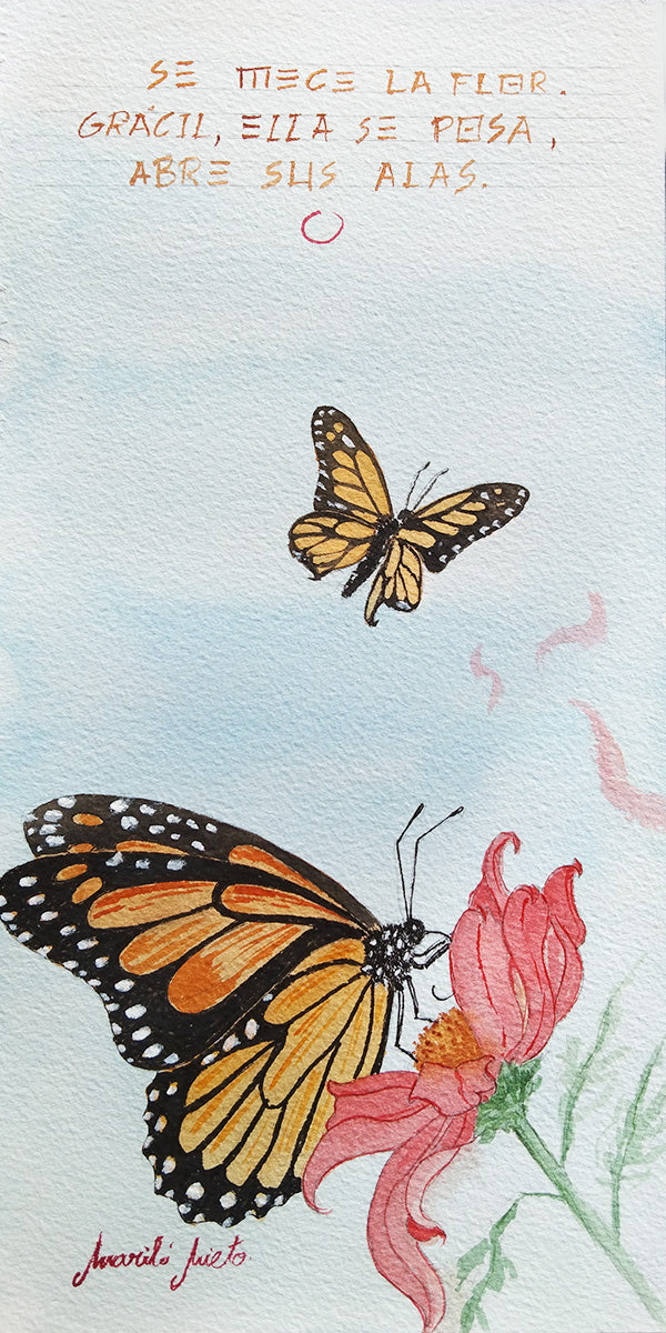 Acuarela Mariposas, dos mariposas monarca en escena: una posada sobre una flor rosa, otra en vuelo. Obra sobre transformación interior.
