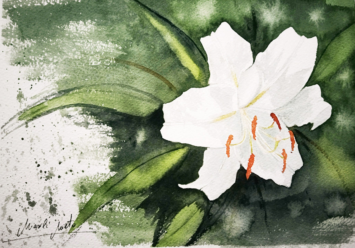 Acuarela del Gladiolo de Abisinia blanco, símbolo de fortaleza interior, victoria personal e integridad. Parte de la colección Jardín de Flores Blancas.