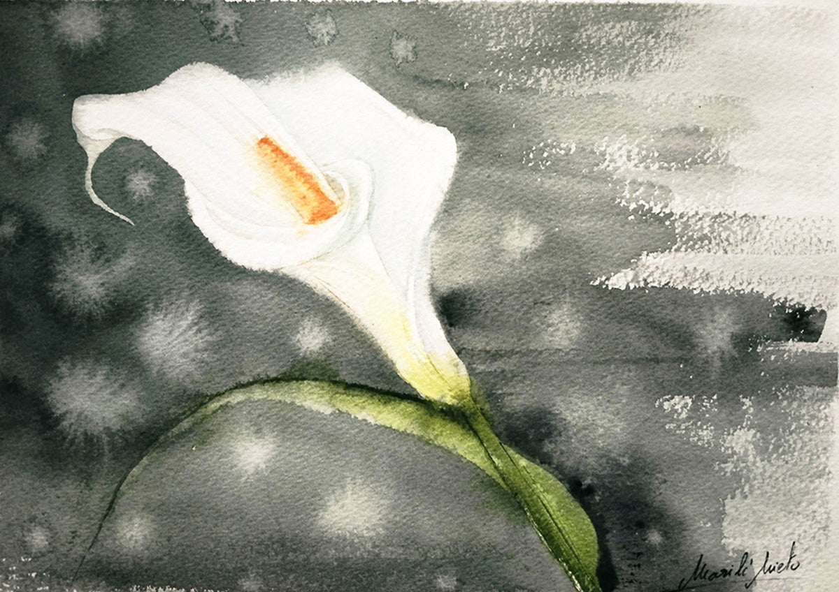 Acuarela del Gladiolo de Abisinia blanco, sin los márgenes del papel, que simboliza de fortaleza interior, victoria personal e integridad. Parte de la colección Jardín de Flores Blancas.