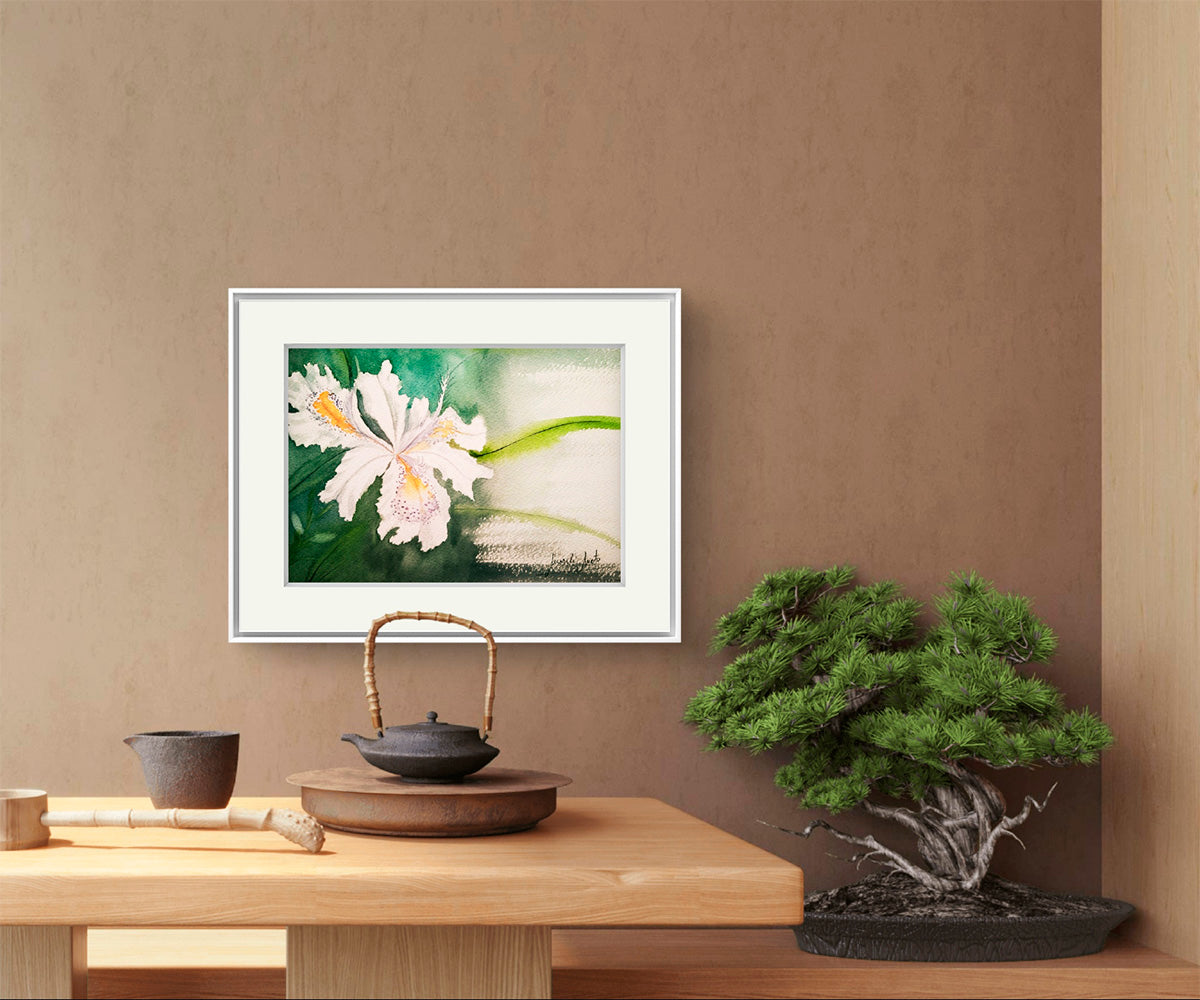 Acuarela del Iris Pallida enmarcada, decorando un espacio interior cálido y natural. Arte floral para ambientes de calma y reflexión.