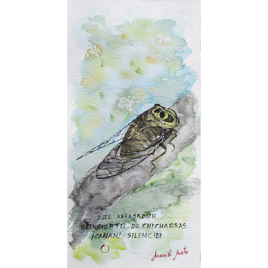 "Acuarela de una chicharra posada sobre un tronco de árbol bajo el sol del verano. Inspirada en el haiku 'Sol abrasador / concierto de chicharras / ¡callan! silencio', esta obra captura el calor, el ritmo natural y el silencio repentino del estío." Formato cuadrado.