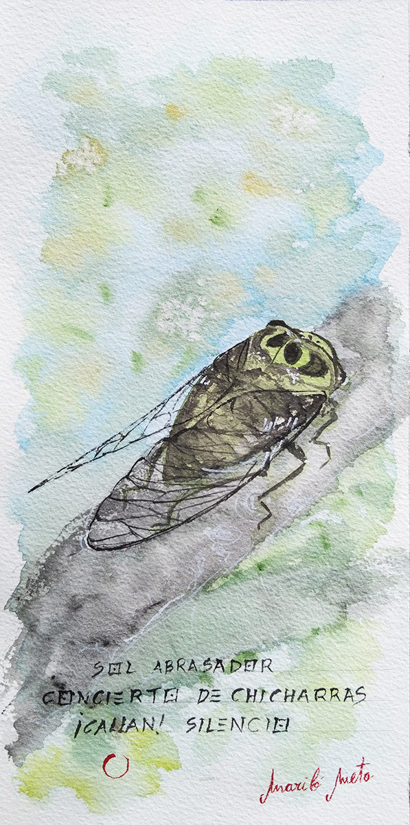 Acuarela de una chicharra sobre un tronco al sol, parte de un haiga contemporáneo inspirado en el verano y el canto natural.