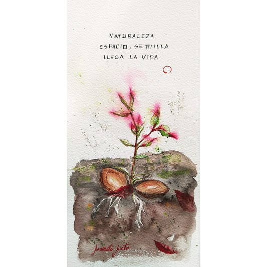 Acuarela de una semilla germinando bajo tierra. Se observan raíces que se extienden hacia abajo y un tallo que brota hacia la superficie, con hojas verdes y puntas rosadas. Inspirada en el haiku 'Naturaleza / espacio semilla / llega la vida'.