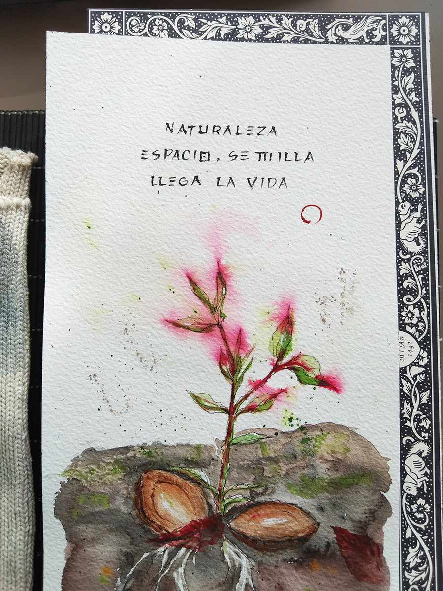 Primer plano del haiku, las raíces, la semilla y el tallo emergente, pintados en acuarela con detalle y suavidad.