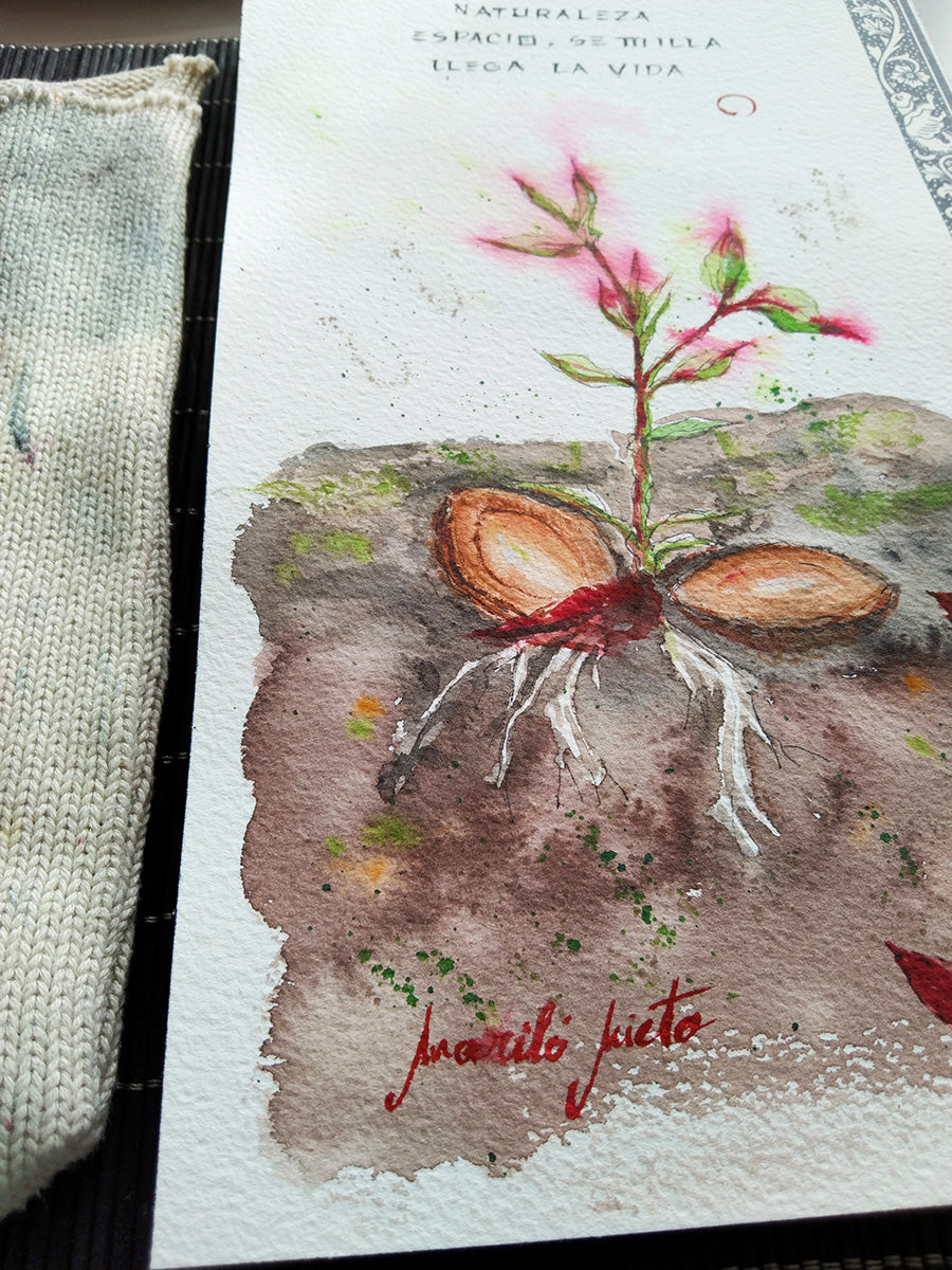 Primer plano de las raíces de la semilla y el tallo emergente, pintados en acuarela con detalle y firma.
