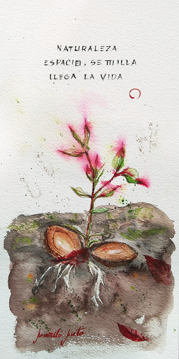 Acuarela de una semilla germinando. Raíces se extienden bajo tierra y un tallo con hojas verdes y rosadas emerge hacia la luz.