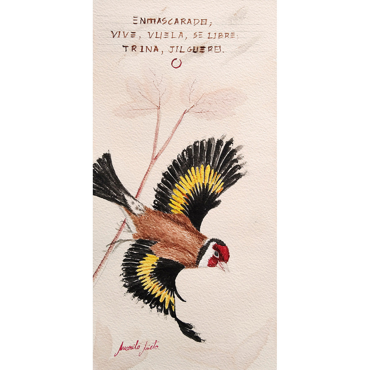 Acuarela de un jilguero en el momento justo de emprender el vuelo desde una rama, con las alas abiertas y emitiendo un trino. Inspirada en el haiku 'Enmascarado / vive, vuela, se libre / trina, jilguero'.