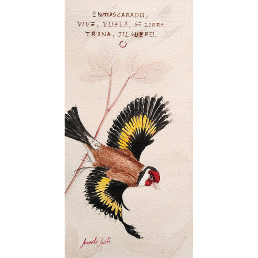 Acuarela de un jilguero en el momento justo de emprender el vuelo desde una rama, con las alas abiertas y emitiendo un trino. Inspirada en el haiku 'Enmascarado / vive, vuela, se libre / trina, jilguero'.