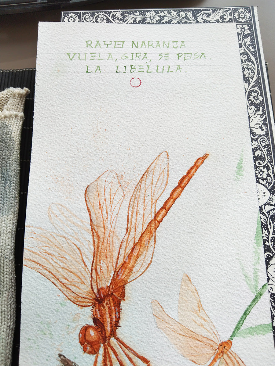 Detalle del haiku de la obra Libélulas, con luz natural resaltando los tonos cálidos y la textura del papel.