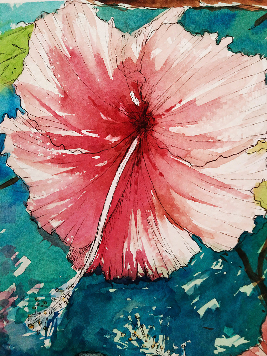 Detalle en acuarela deuna flor de hibisco rosada en la obra Colibríes II, mostrando la fluidez del pincel.