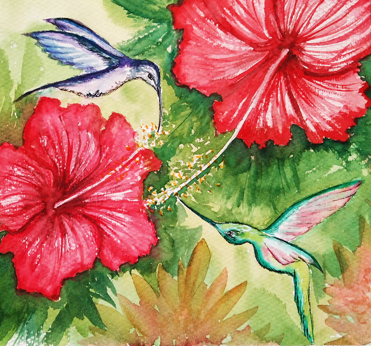 Detalle en acuarela de dos hibiscos rojos y dos colibries en pleno vuelo, mostrando la precisión y fluidez del trazo artístico.