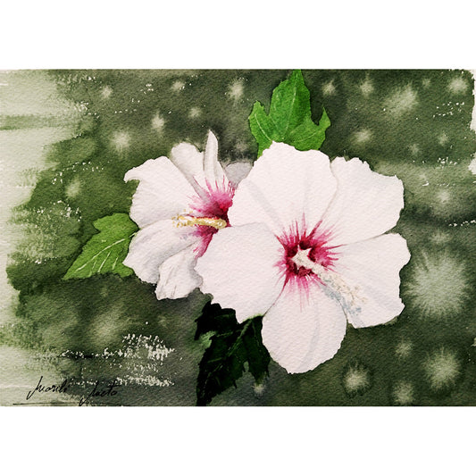 Acuarela del Hibisco Blanco, símbolo de poder interior, respeto y hospitalidad. Parte de la colección Jardín de Flores Blancas. Formato cuadrado.
