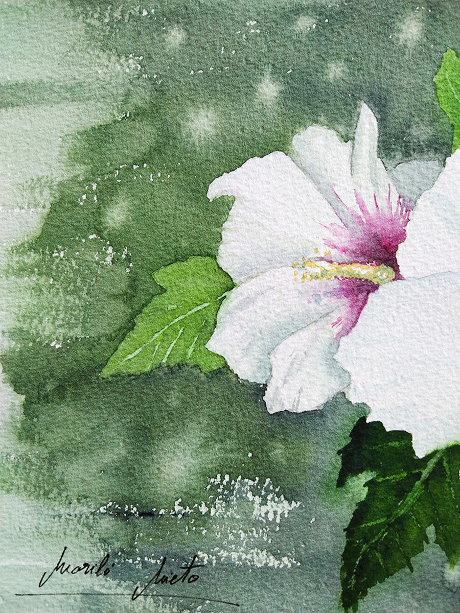 Detalle de pétalos y hojas y firma de la artista en la obra Hibisco Blanco, acuarela original de la colección Jardín de Flores Blancas.