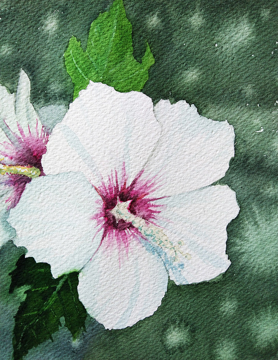 Detalle de los pétalos del Hibisco Blanco en acuarela, destacando la delicadeza del trazo y la textura del papel.