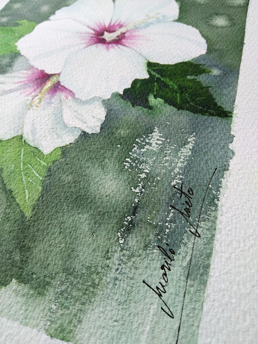 Firma del artista en la obra Hibisco Blanco, y textura del papel de la acuarela original de la colección Jardín de Flores Blancas.
