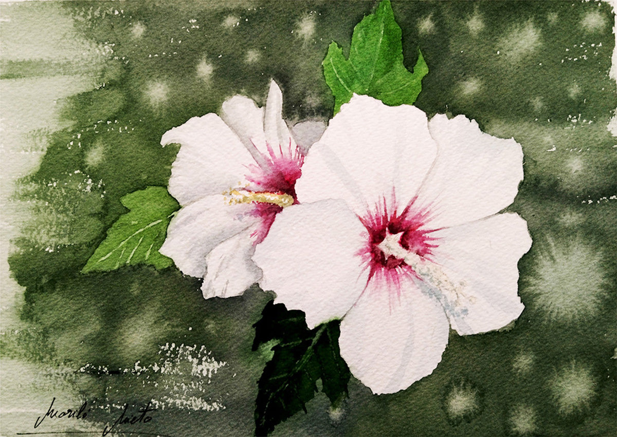 Acuarela del Hibisco Blanco, símbolo de poder interior, respeto y hospitalidad en formato horizontal sin márgenes.  Parte de la colección Jardín de Flores Blancas.