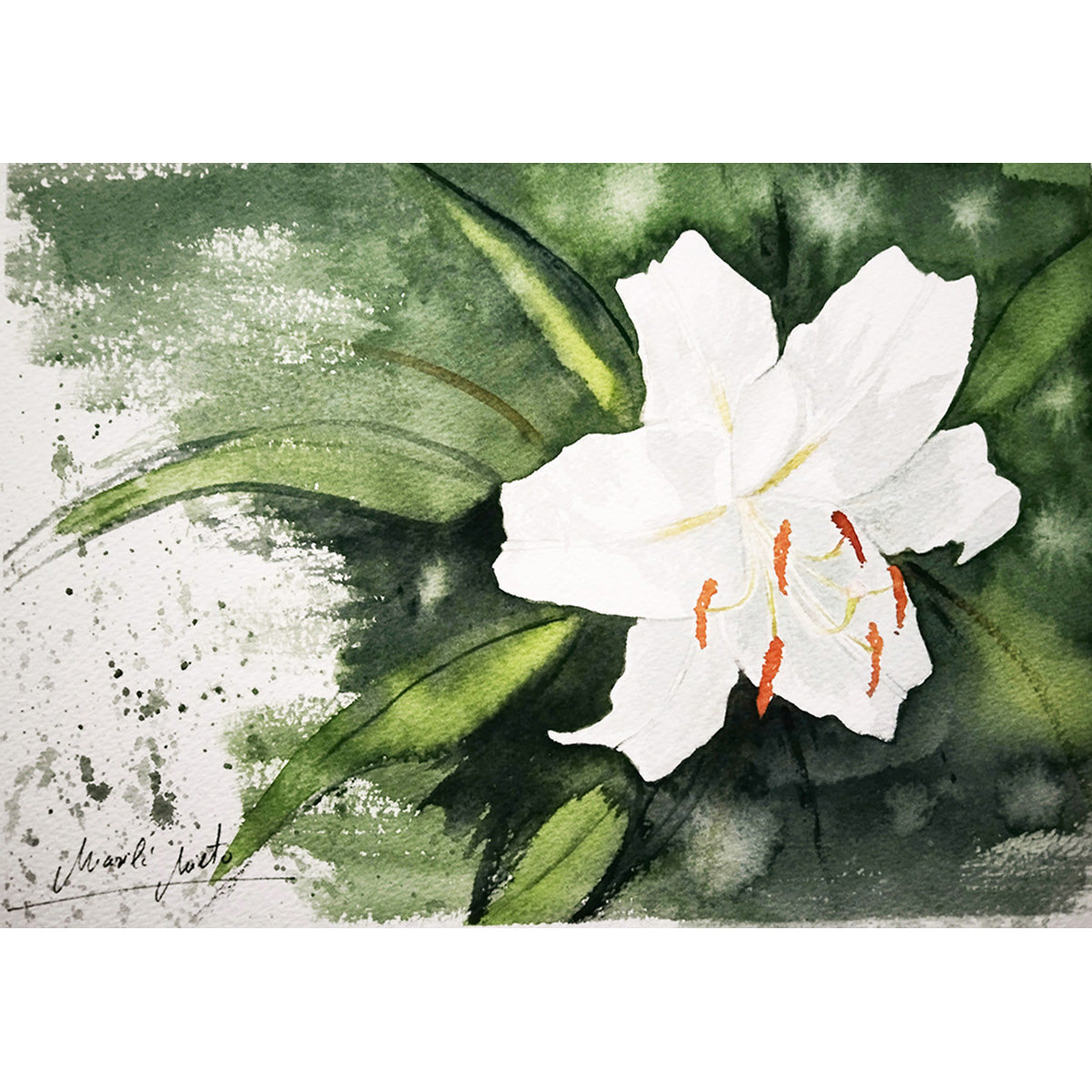 Acuarela en formato cuadrado del Lirio de Casablanca blanco, símbolo de fortaleza interior, victoria personal e integridad. Parte de la colección Jardín de Flores Blancas."