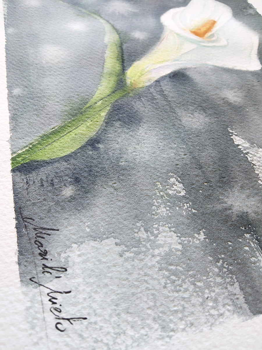 Primer plano de la textura del papel de acuarela y la firma del artista en la obra Lirio de agua."