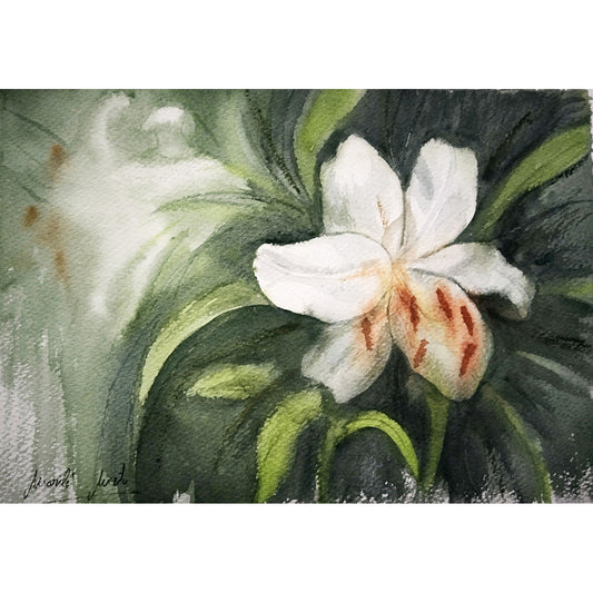 Acuarela del Lirio de Casablanca en penumbra, símbolo de fortaleza interior, victoria personal e integridad. Parte de la colección Jardín de Flores Blancas."