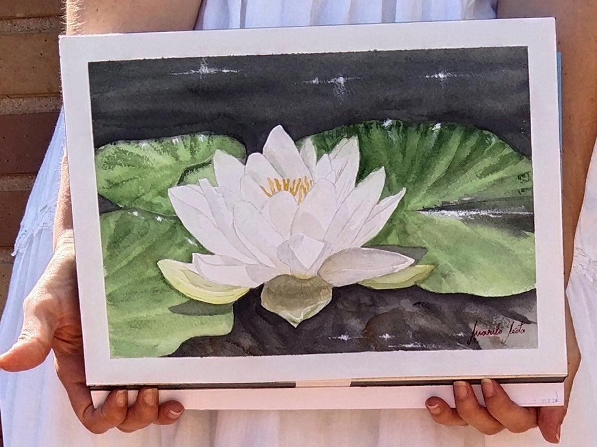 Imagen frontal del cuadro Nenúfar blanco, iluminado con luz natural para resaltar los matices del color."