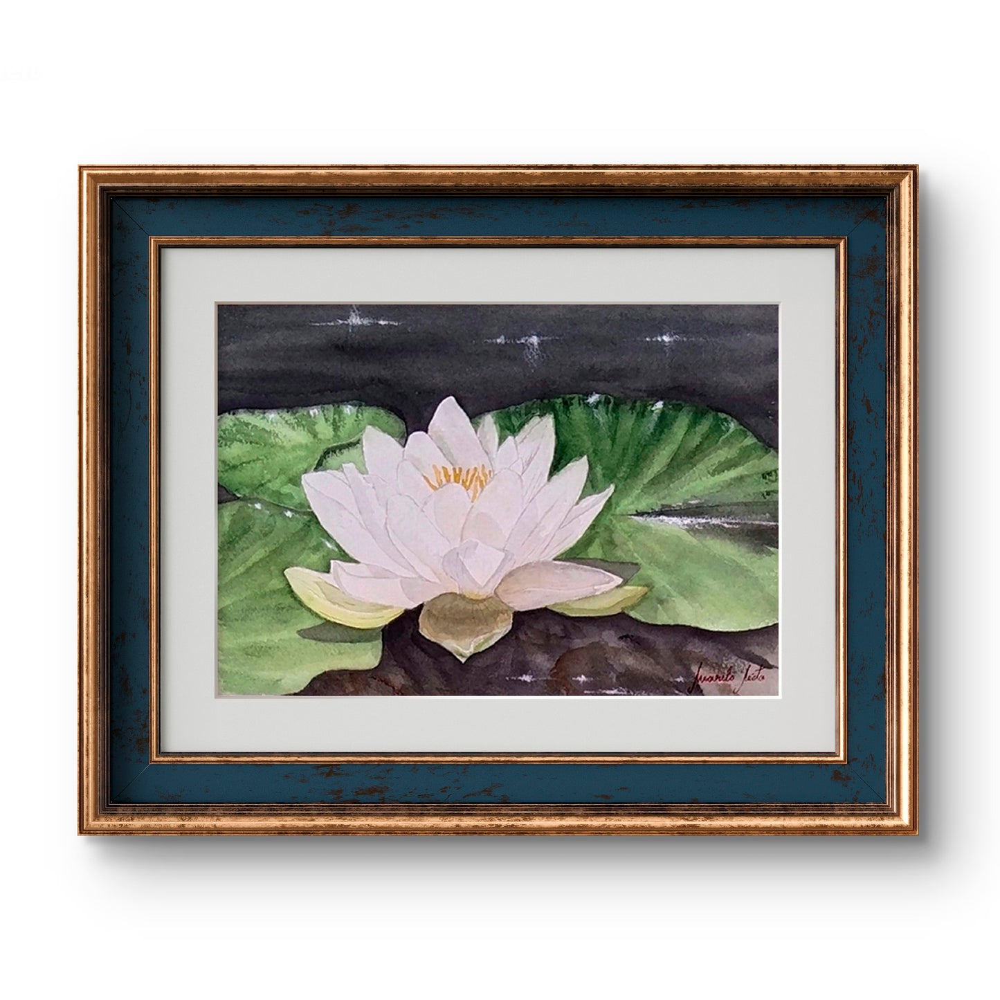 Acuarela del Nenúfar blanco enmarcada con paspartú. Arte floral para ambientes de calma y reflexión."