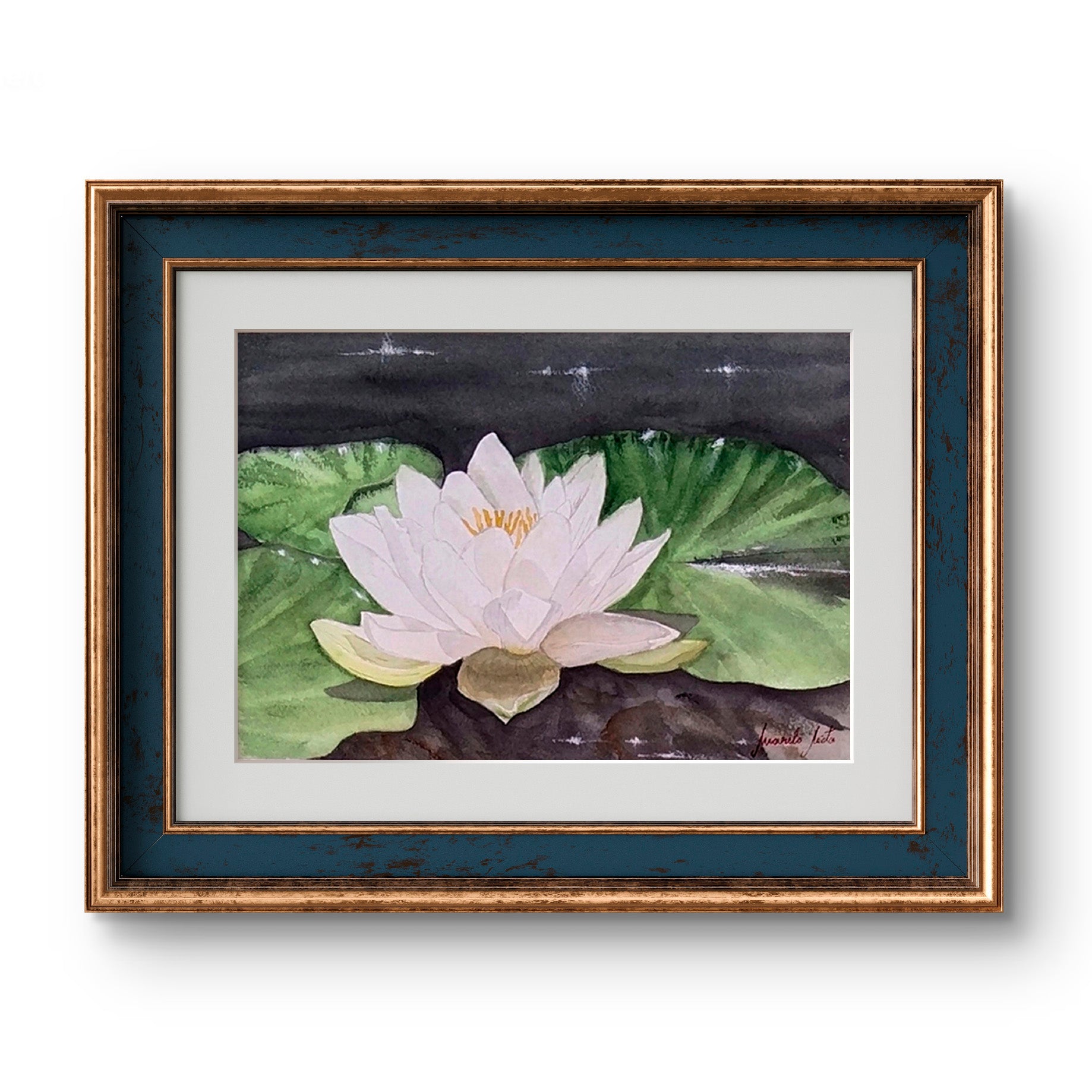Acuarela del Nenúfar blanco enmarcada con paspartú. Arte floral para ambientes de calma y reflexión."