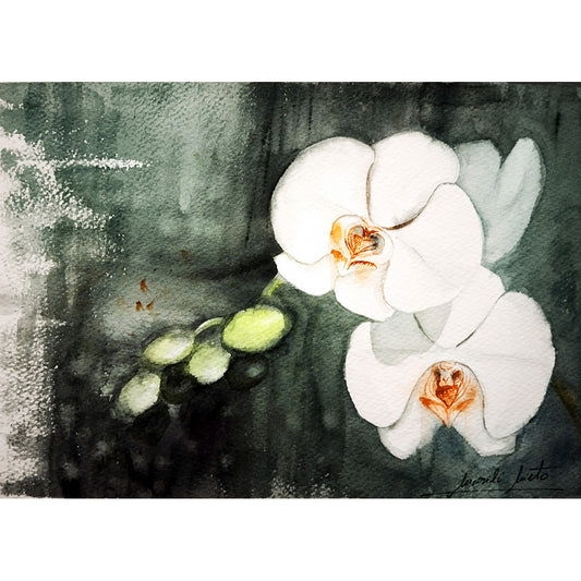 Acuarela del Orquídea blanca, amor incondicional y el equilibrio. Parte de la colección Jardín de Flores Blancas en formato cuadrado.
