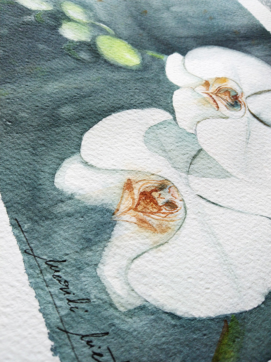 Primer plano de la textura del papel de acuarela y la firma del artista en la obra Orquídea blanca."