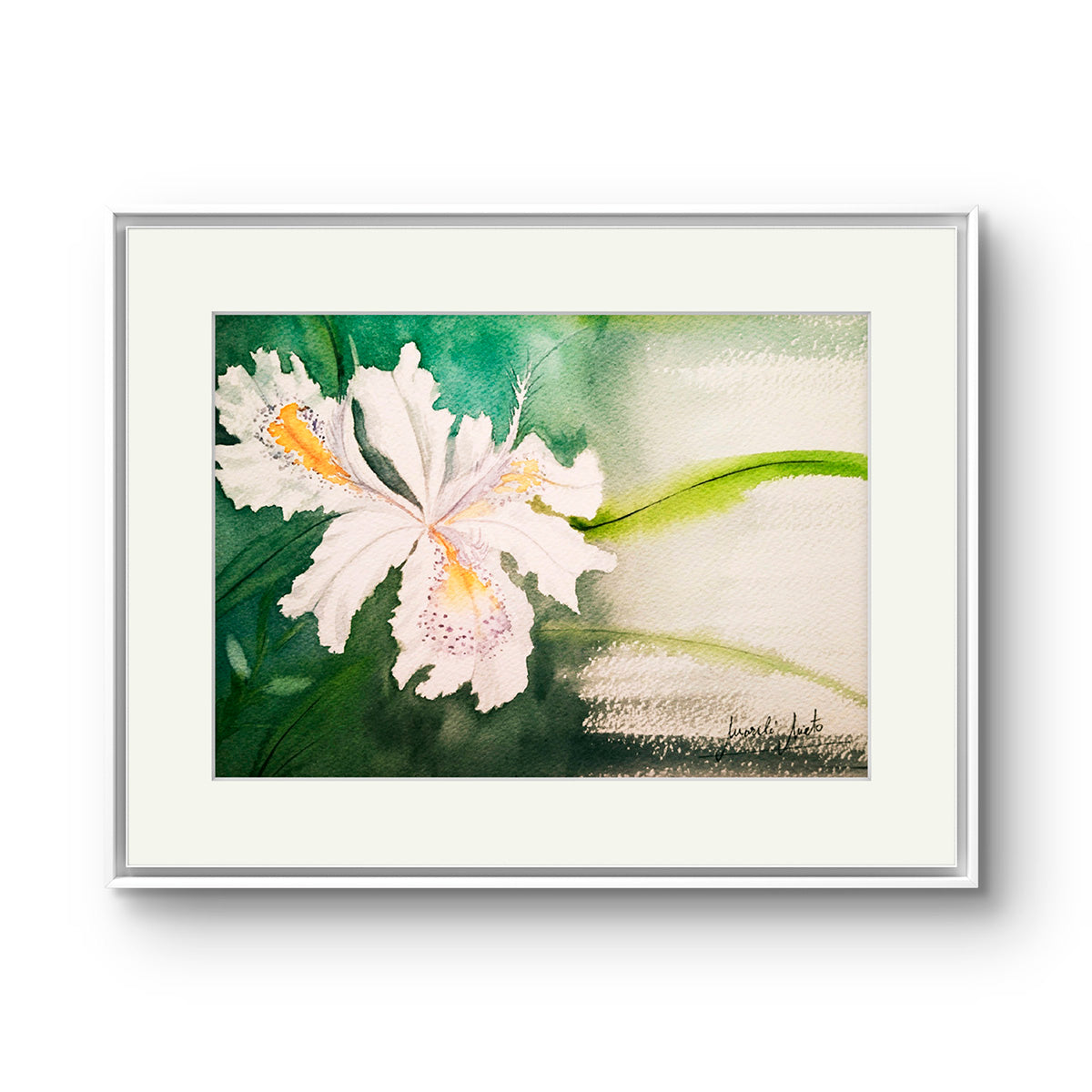 Iris Pallida enmarcado sobre pared clara, ideal para espacios de calma, introspección y sanación emocional.